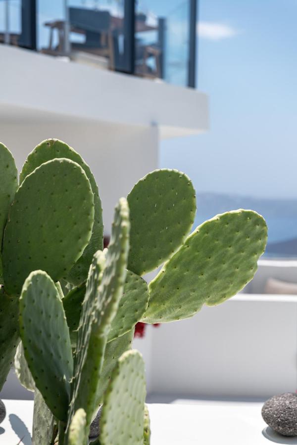 Akra Suites & Spa إيميروفيغلي المظهر الخارجي الصورة